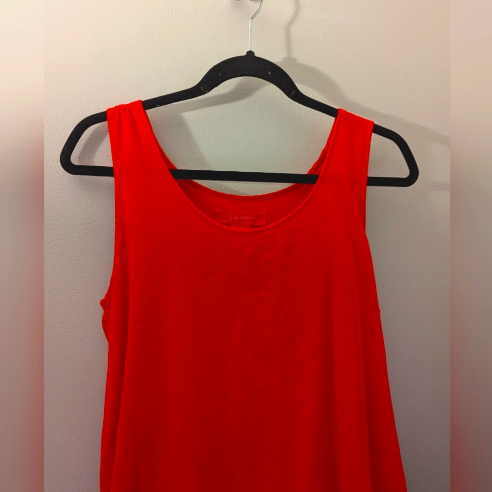 NWOT Catherine Malandrino Red Sheer Dress with Rayon Lining Size Medium - Picture 3 of 8